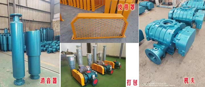 三葉羅茨JK漫画在线下载（皮帶型）實拍